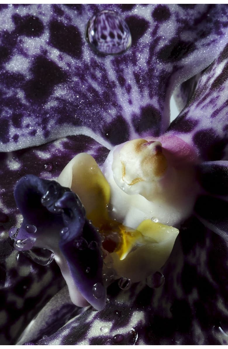 Dries Van Noten Soie & Amber Hand Cream, Alternate, color, 