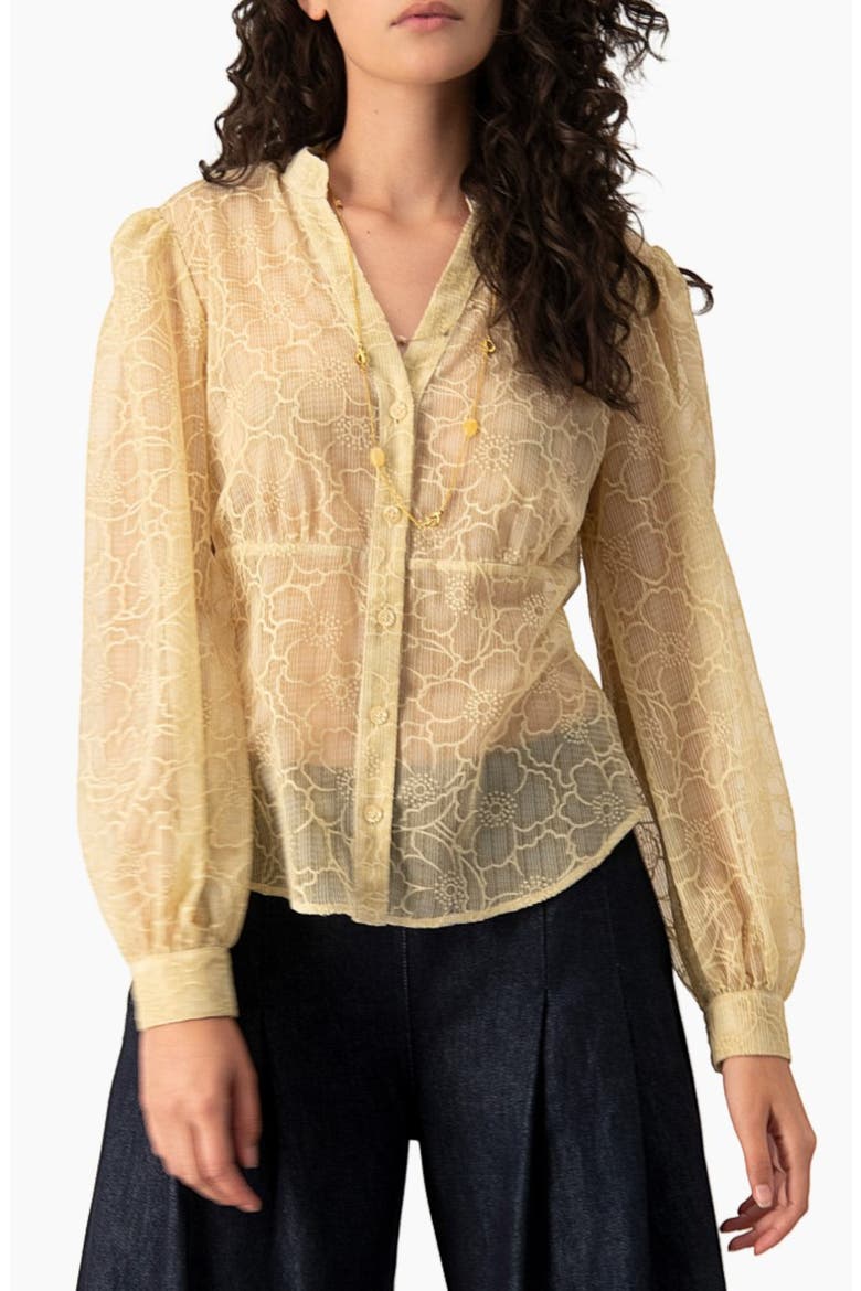 Sheer Floral Jacquard Puff-sleeve Button-front Blouse, Main, color, Ivory