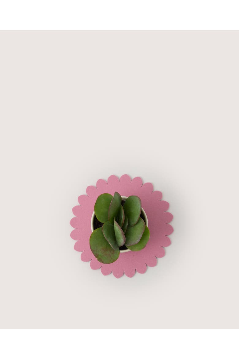 Crest Merino Wool 10" Trivet, Main, color, Mauve