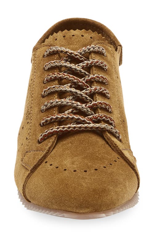 Pedro Garcia Celin Sneaker In Brown