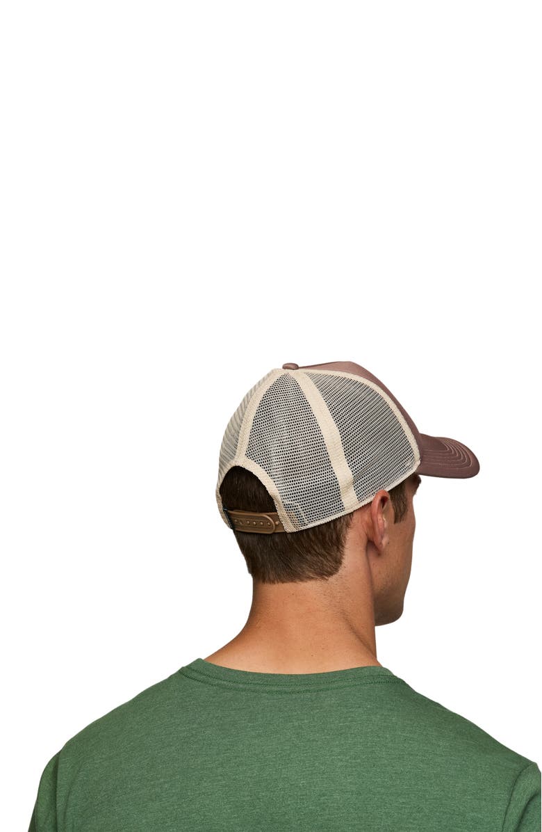 Cotopaxi Vintage Trucker Hat, Alternate, color, Reishi