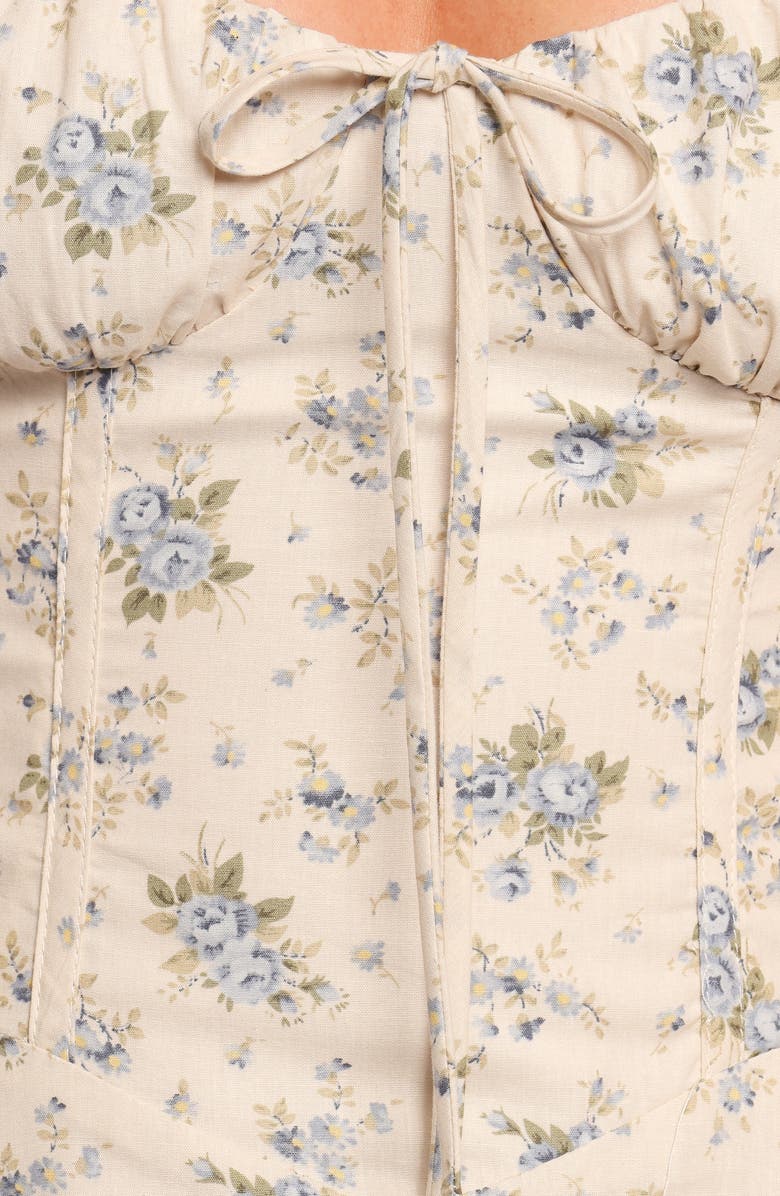 Petal & Pup Tiarna Lace Up Back Sleeveless Maxi Dress, Alternate, color, Blue Floral