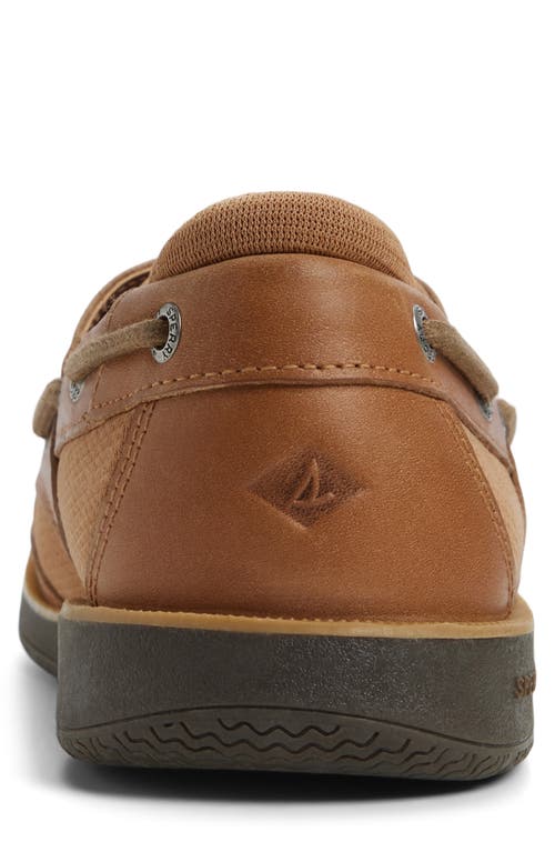 Sperry Surveyor 2-eye Boat Shoe In Brown