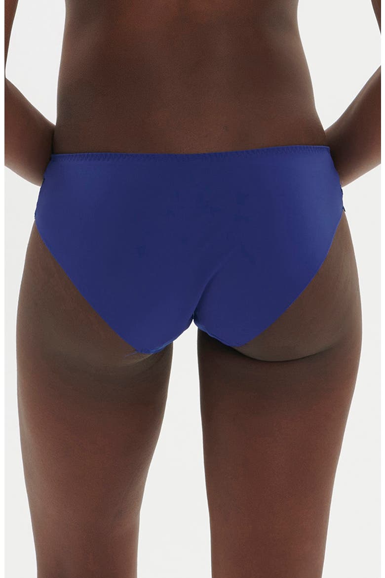 Wish Embroidered Lace Trim Bikini Briefs, Alternate, color, ELECTRIC BLUE