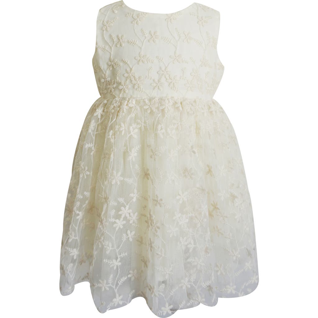 Popatu Floral Embroidered Dress in Yellow  product