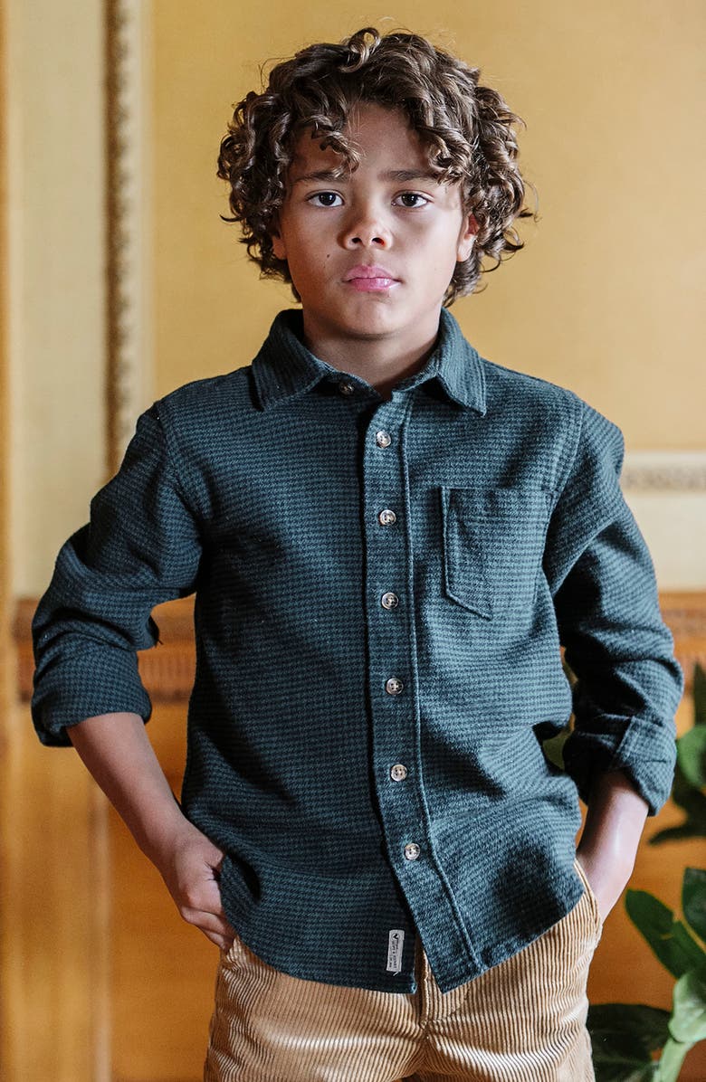 Hope 
Henry Kids
 Organic Long Sleeve Flannel Button Down Shirt, Alternate, color, 