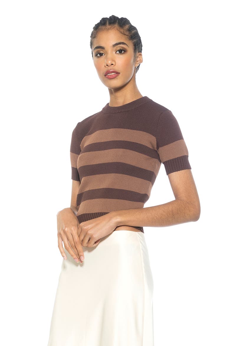 Pat Stripe Short Sleeve Sweater Top, Alternate, color, BROWN