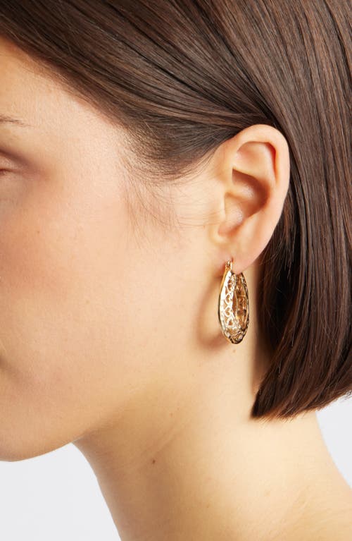 Child Of Wild Lovers Club Hoop Earrings In Gold