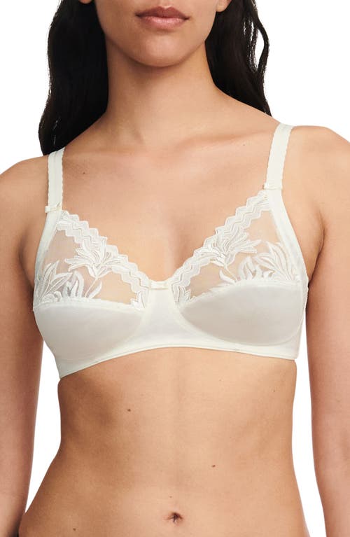 Chantelle Lingerie Amazone Soft Cup Bra in Ivory at Nordstrom, Size 36C