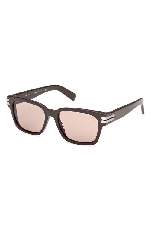 Zegna 55mm Polarized Rectangular Sunglasses In Brown