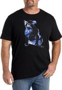 Robert Graham DXL Big & Tall X-Ray Graham Graphic Tee
