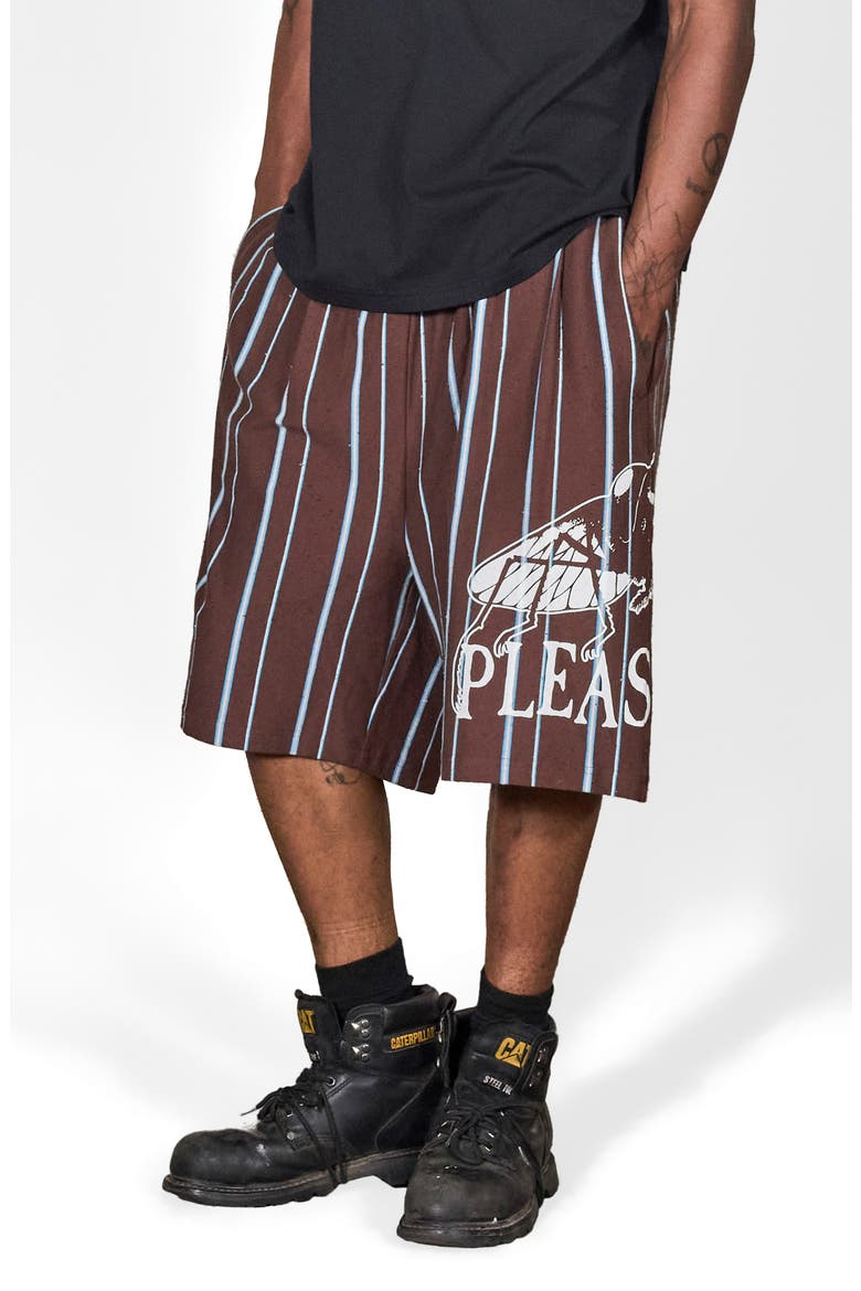 Teleport Wide Stripe Drawstring Cotton Shorts, Alternate, color, BROWN