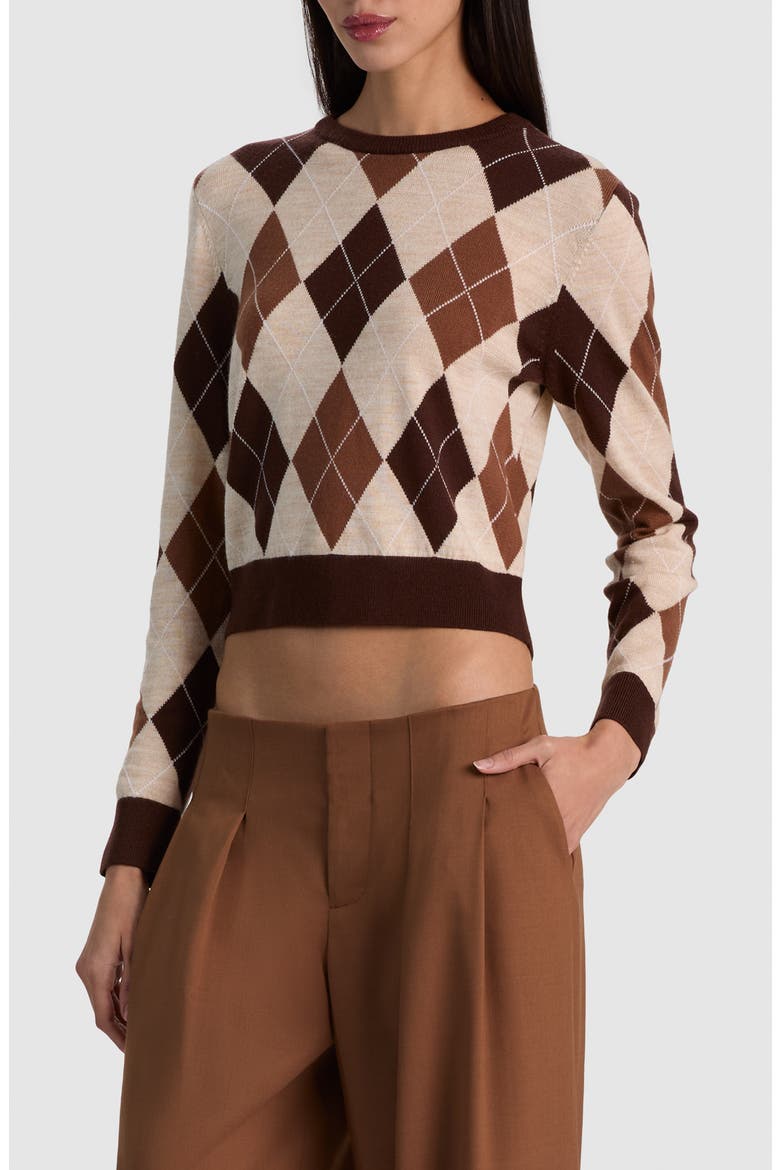 Grace Shrunken Houndstooth Sweater, Alternate, color, CAMEL/MULTI