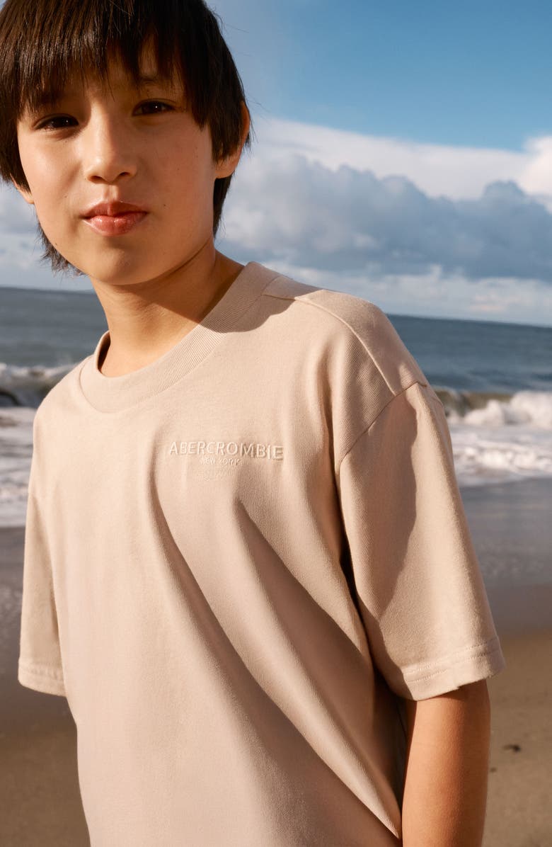 abercrombie kids Kids' Sunfaded Logo T-Shirt, Alternate, color, Simply Taupe