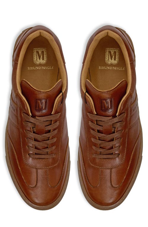 Bruno Magli Ryan Low Top Sneaker In Brown