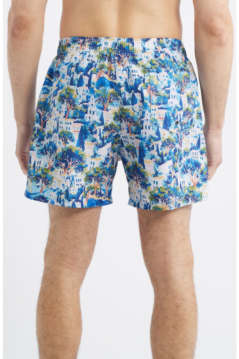 Printed Swim Trunks, Alternate, color, BLUE