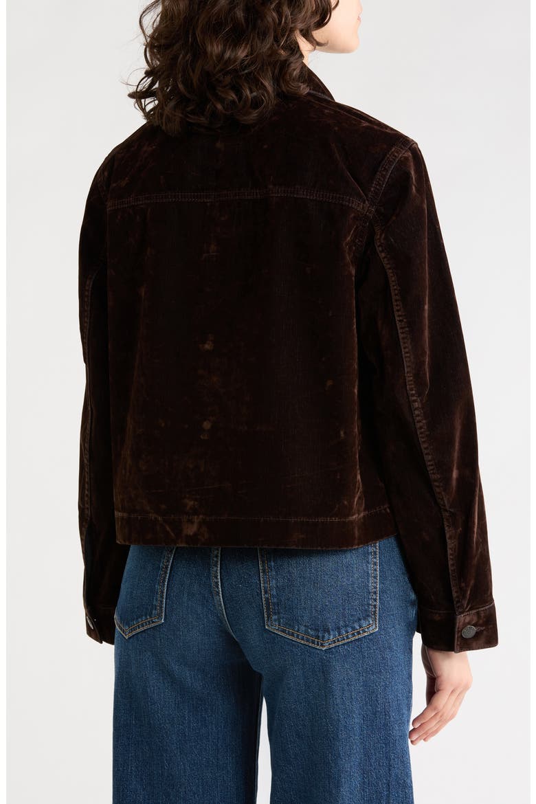 Flocked Denim Chore Jacket, Alternate, color, TURKISH COFFEE