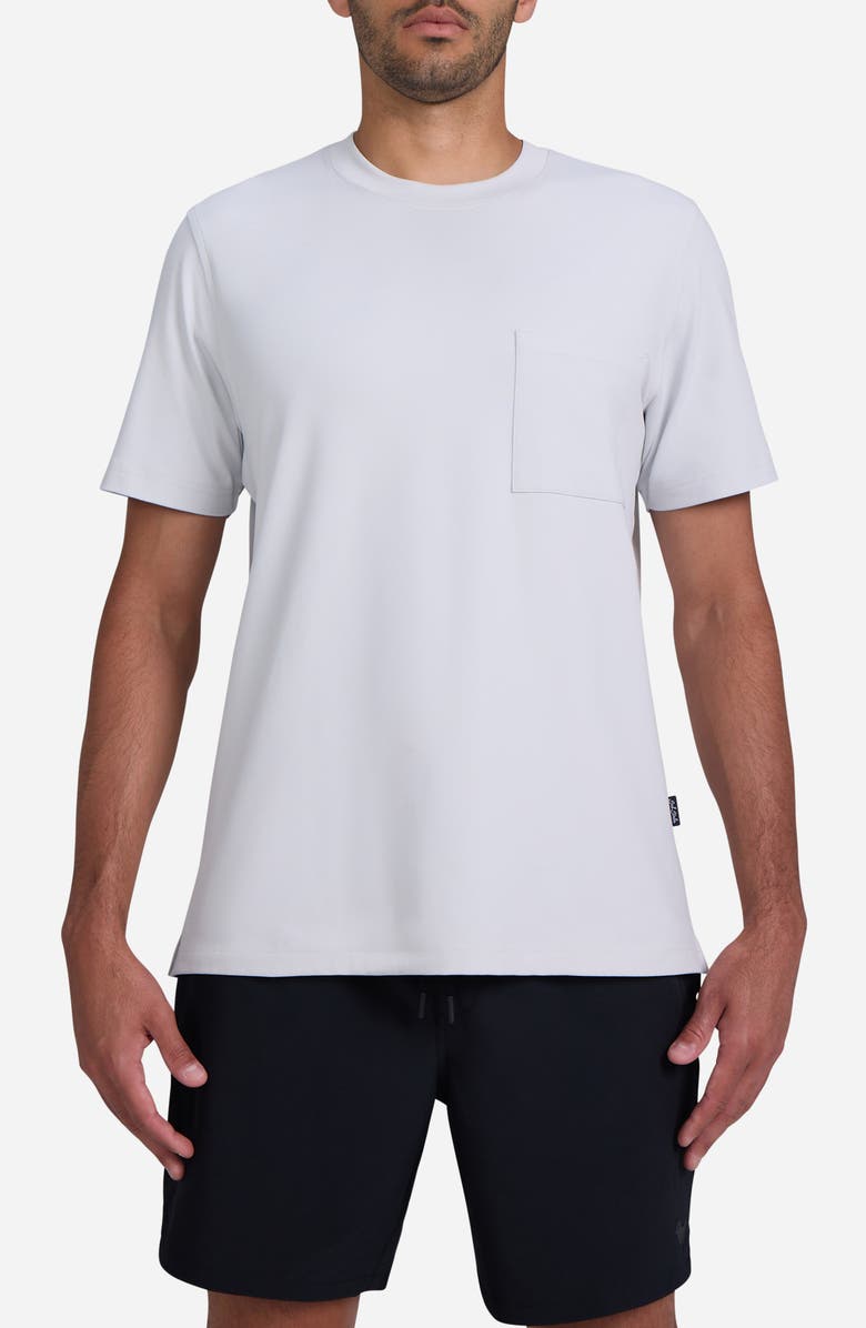 Bad Birdie Everyday Pocket T-Shirt, Main, color, Glacier Grey