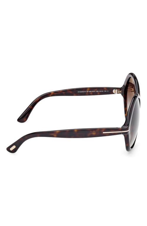 Tom Ford Annabelle 60mm Gradient Round Sunglasses In Brown