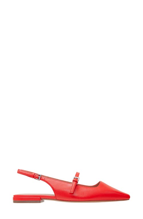 Linea Paolo Celeste Slingback Pointed Toe Flat In Red
