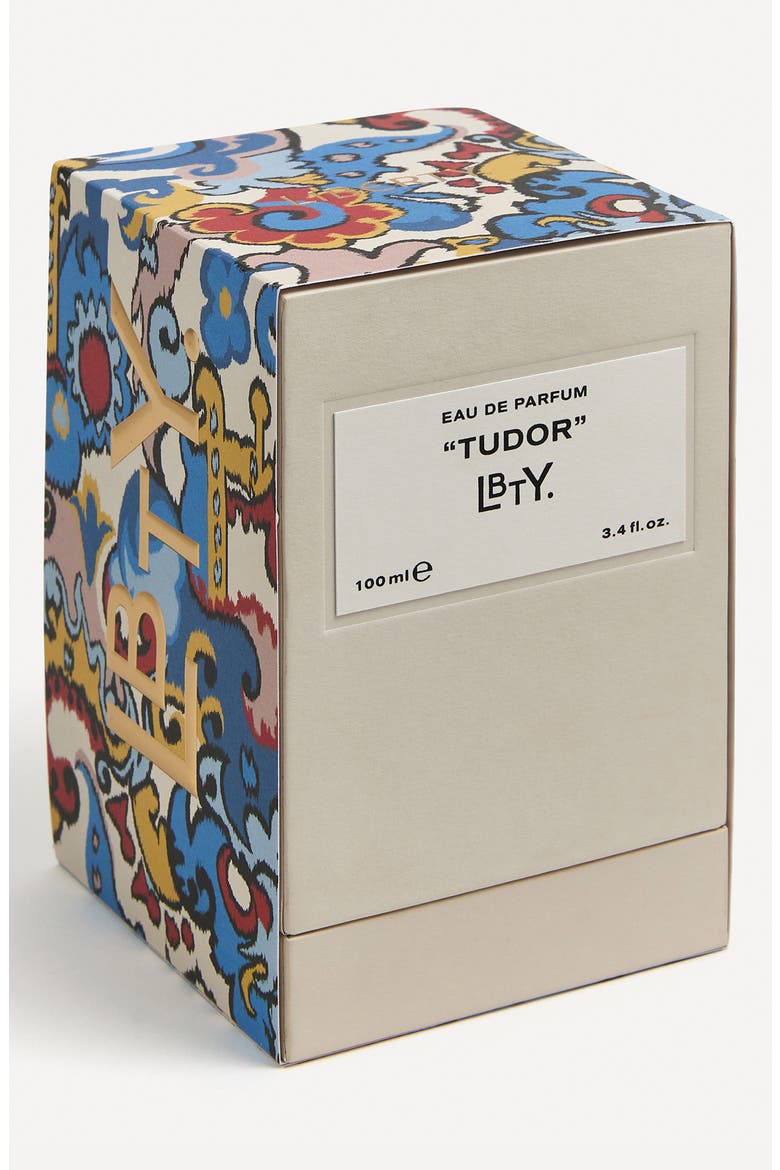 Tudor Eau de Parfum, Alternate, color, NO COLOR