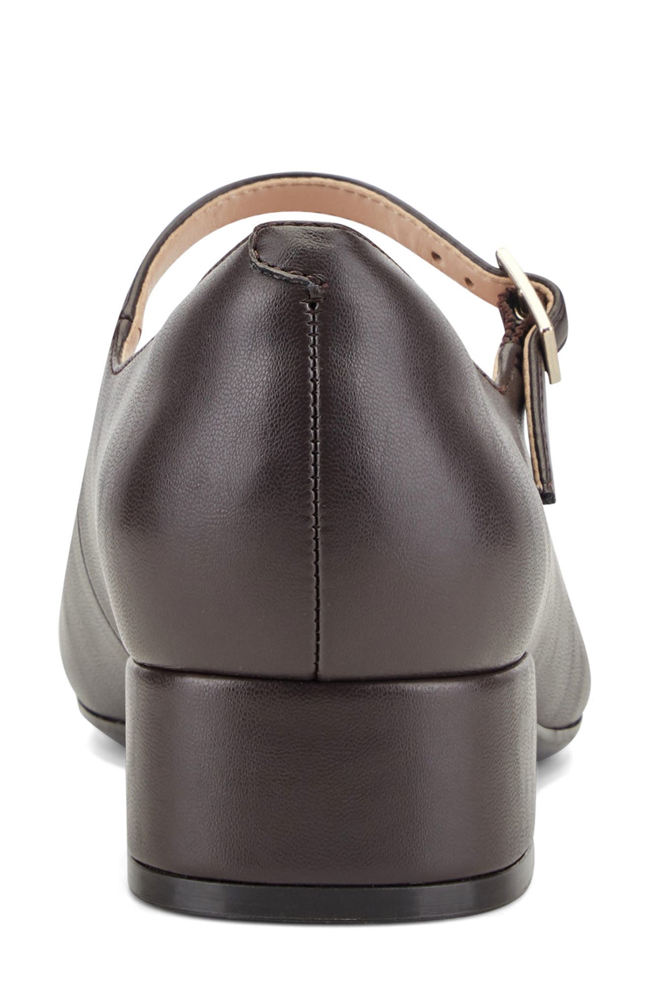 Sejanica Mary Jane Flat, Alternate, color, DBR01