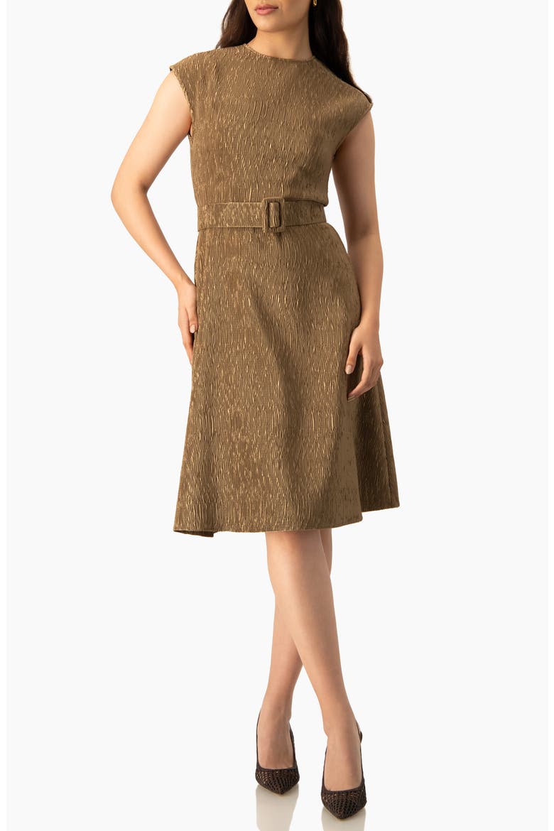 Textured Belted A-Line Dress, Cap Sleeve Fit-and-Flare with Buckle Belt, Alternate, color, Gold