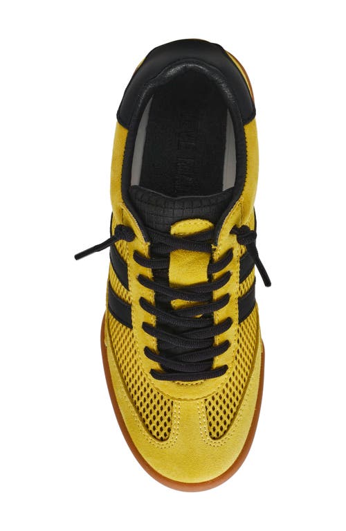 STEVE MADDEN STEVE MADDEN VERDICT MESH SNEAKER 