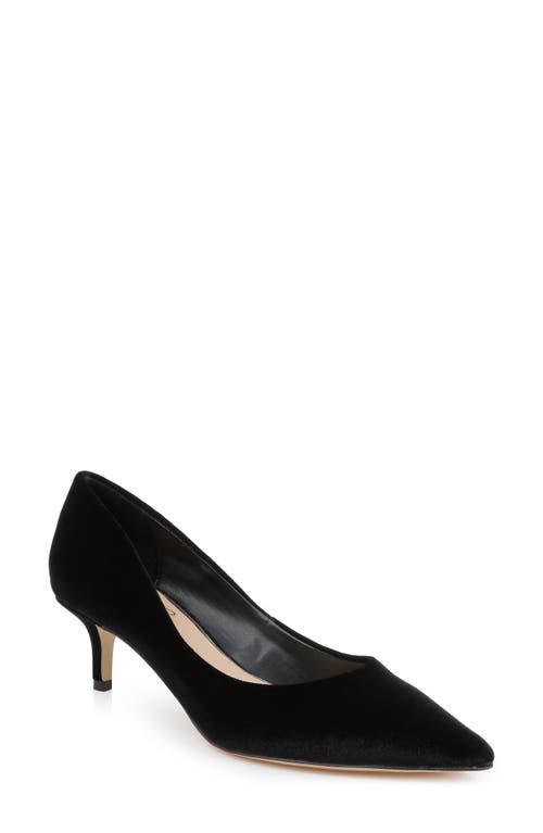 Jewel Badgley Mischka Enola Pointed Toe Kitten Heel Pump In Black