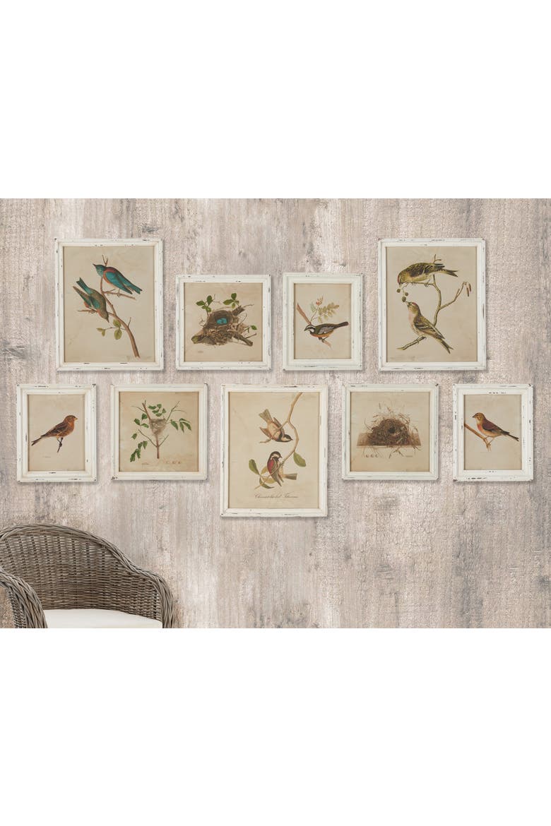 Framed Aviary Bird & Nest Habitat Prints Set of 9, Alternate, color, Off-White