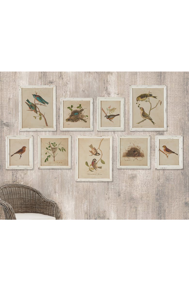 Napa Home & Garden Framed Aviary Bird & Nest Habitat Prints Set of 9, Alternate, color, Off-White