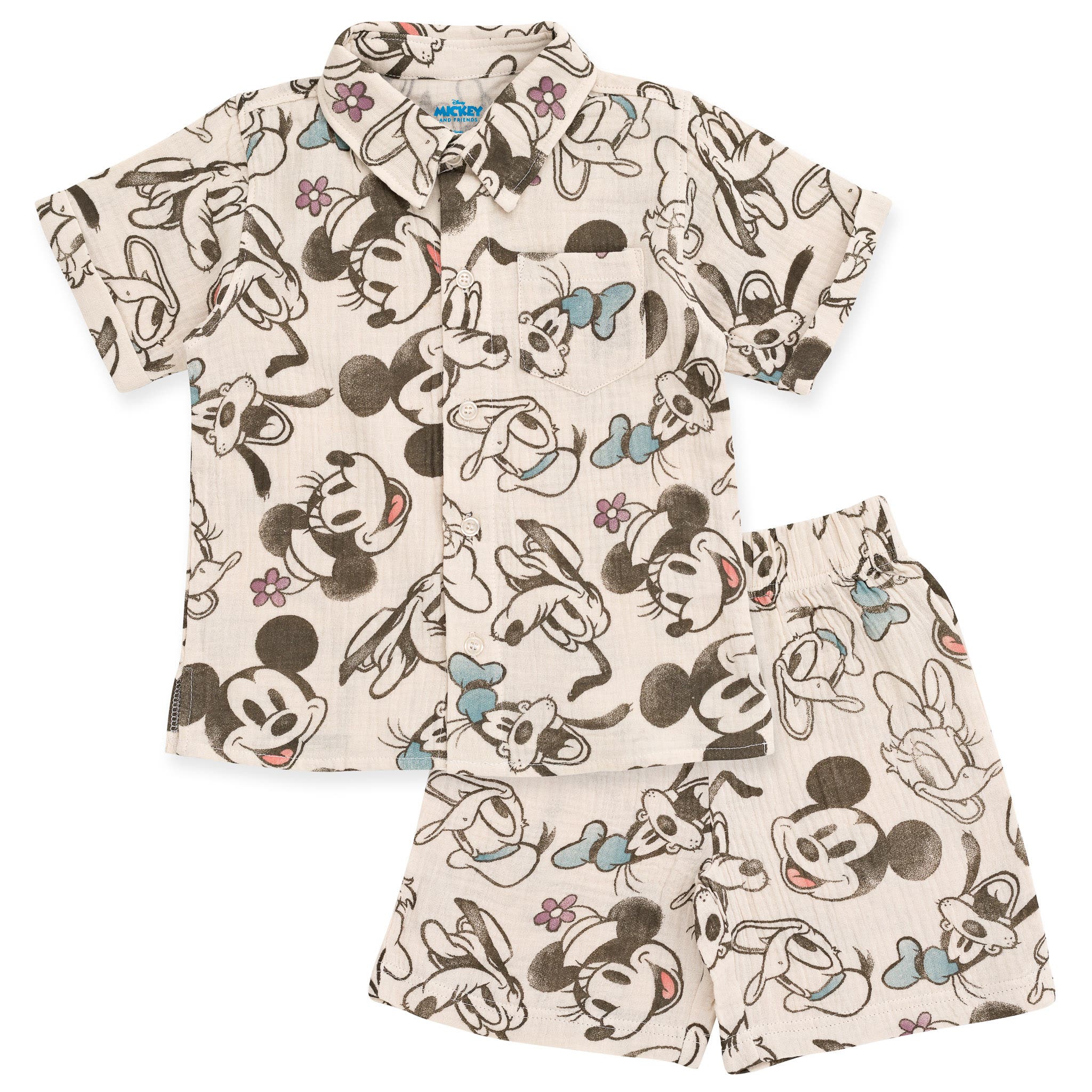 selected Stone Mickey Friends