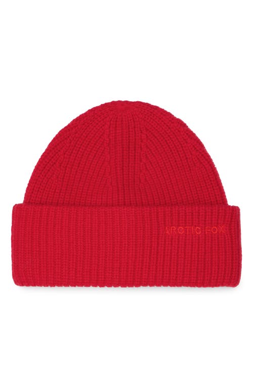 Arctic Fox & Co. Arctic Fox & Co The Embroidered Merino Wool Beanie In Red
