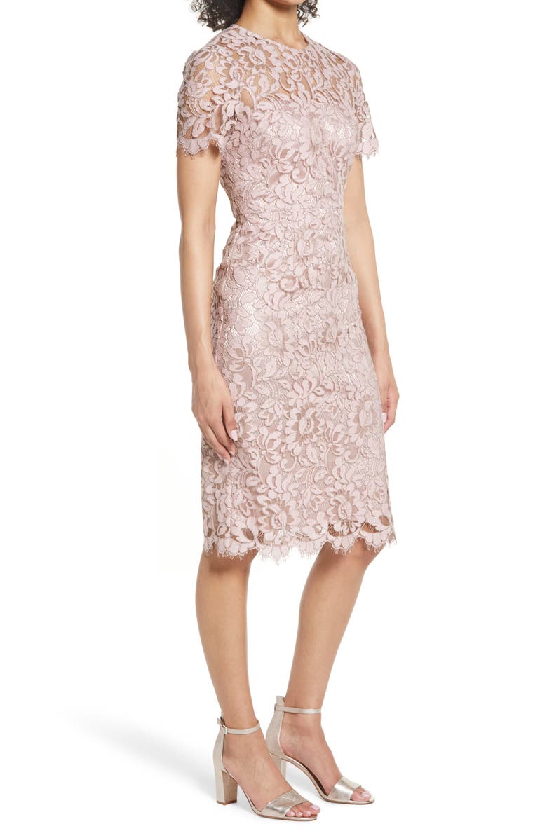 Eliza J Embroidered Lace Overlay Cocktail Dress, Alternate, color, Blush