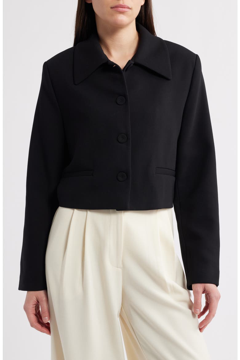 Cagliari Crop Jacket, Alternate, color, BLACK