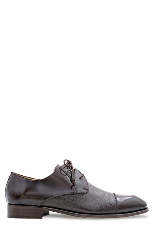 Mezlan Capello Cap Toe Derby In Brown