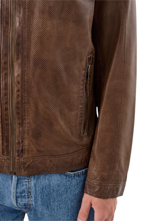 Regency Perforated Leather Jacket In Grey
