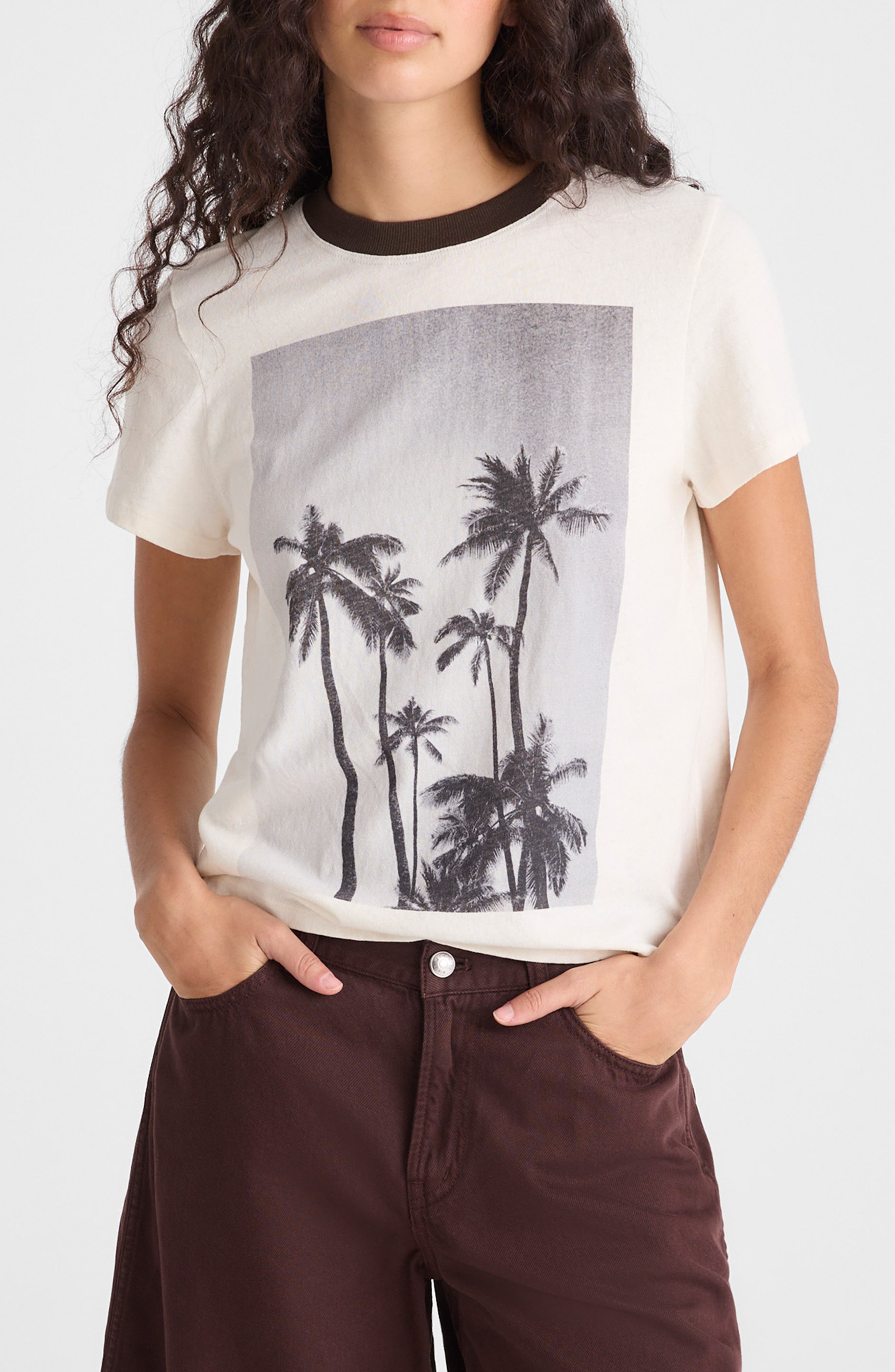 selected PALM TREE