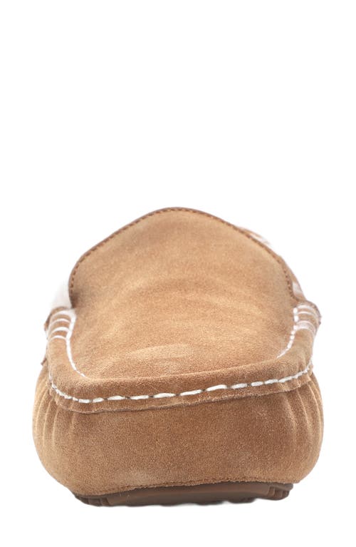 Mykos Suede Genuine Shearling Lined Slipper In Brown