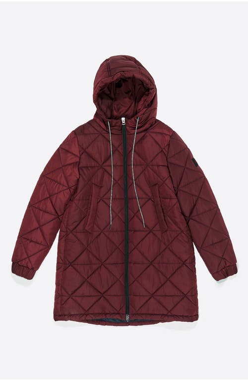 Bimba Y Lola Straight Hooded Puffer In Burgundy
