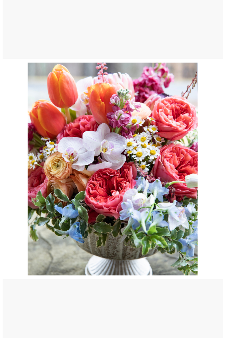 Blissful Blooms Paint by Numbers Kit, Alternate, color, Blissful Blooms