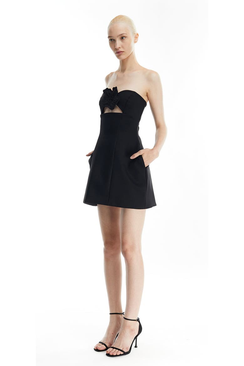 Fiona mini Dress, Alternate, color, Black