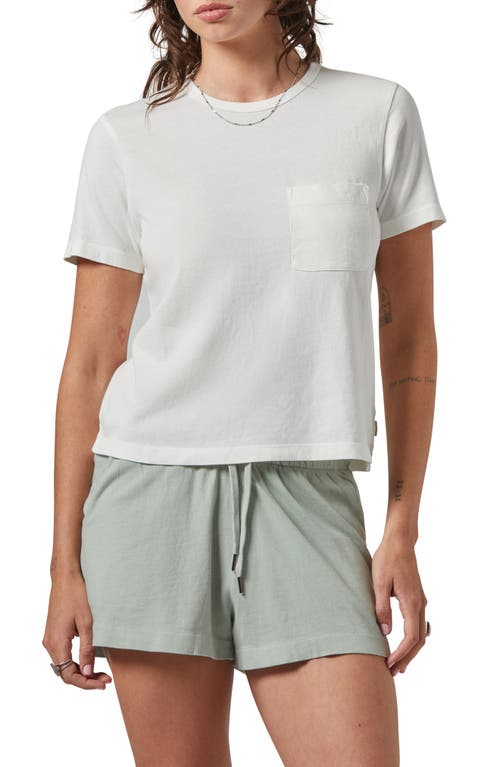 Brixton Carefree Organic Cotton T-shirt In Off White