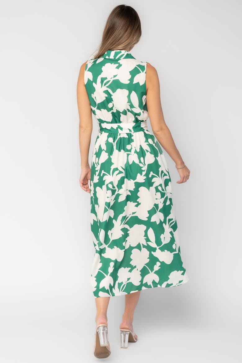 Tatum Button Down Dress, Alternate, color, Green + Off White