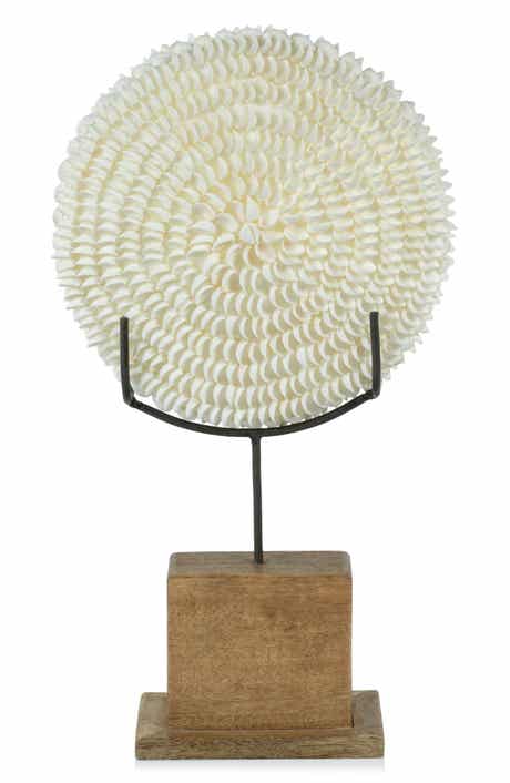 Zodax Natural Clamrose Sea Shell Décor