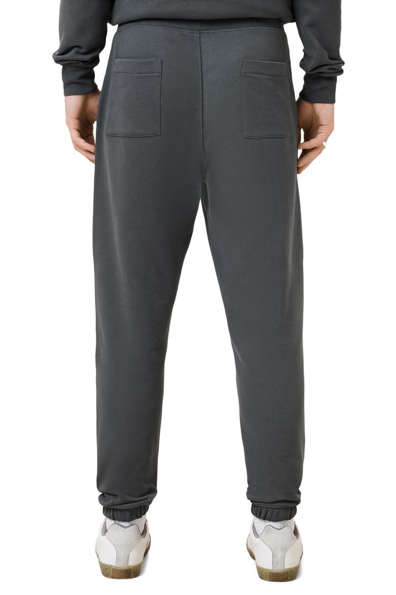 Raven Cotton Sweatpants, Alternate, color, CARTER GREY