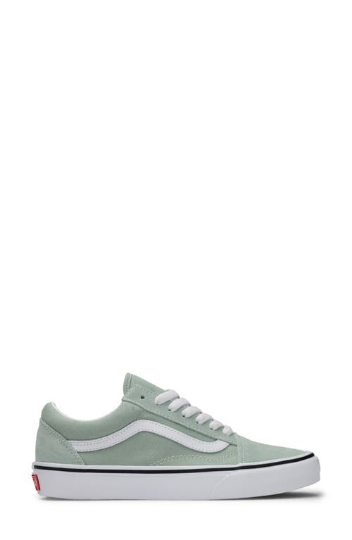 Vans Old Skool Low Top Sneaker In Gray