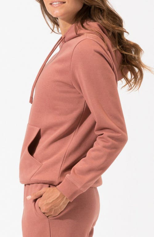 Threads 4 Thought Invincible Organic Cotton Blend Fleece Sweatshirt In Brown