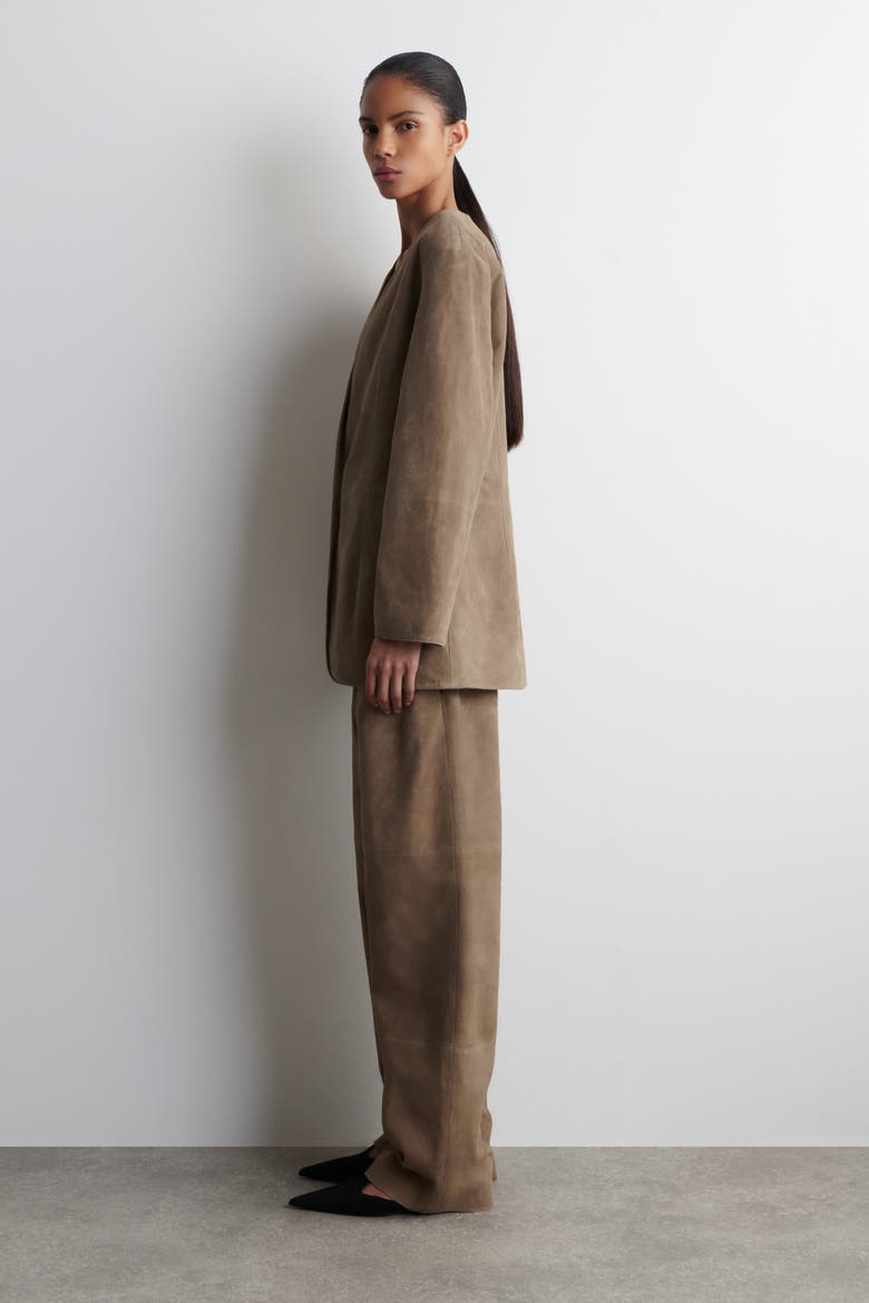 Collarless Suede Blazer, Alternate, color, BEIGE