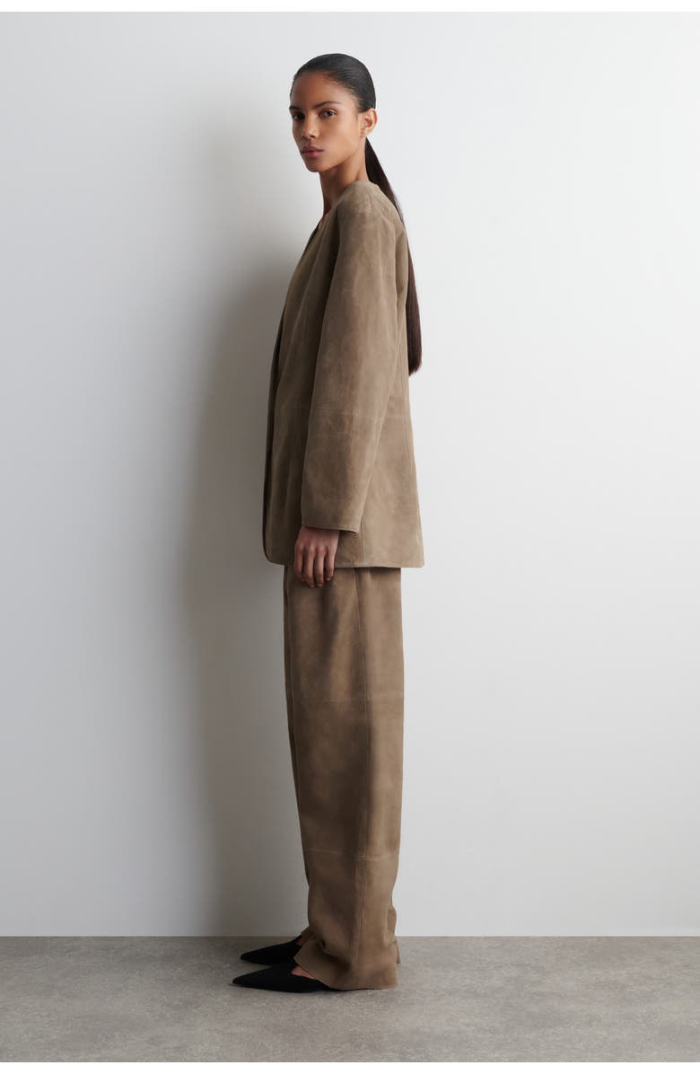COS Collarless Suede Blazer, Alternate, color, Beige